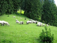 /album/erdelyiturizmus-com/a420640-420129154752508-124751923-n-jpg/