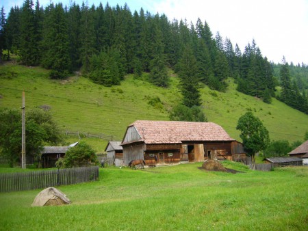 csikszereda fele látkép 